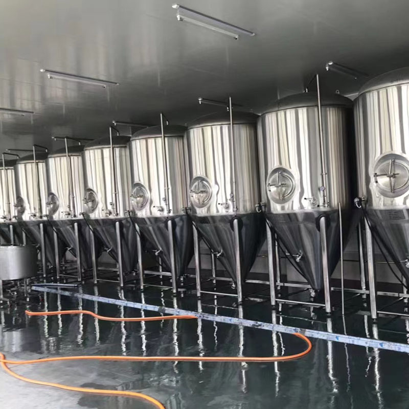 龙子湖小型啤酒设备
