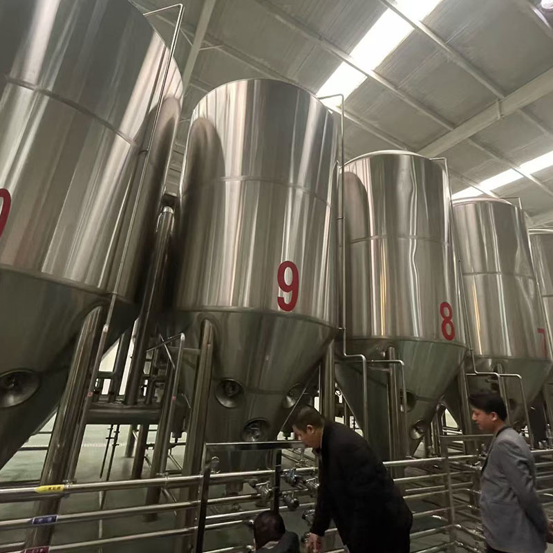 龙子湖精酿啤酒设备